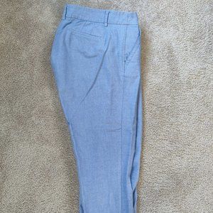 J. Crew Baby Blue Ankle Length Pants Size 4